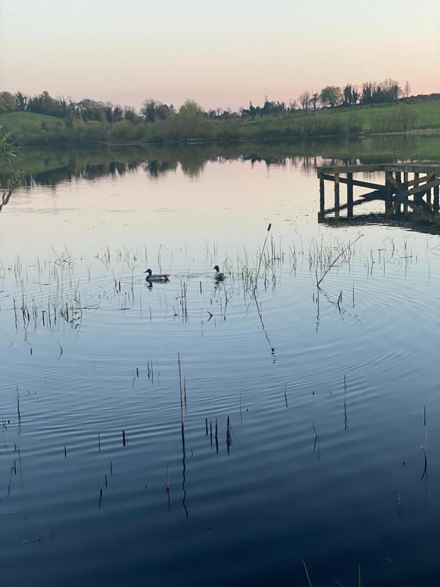 Killyfole Lakeside Lodges Corranny Exterior foto